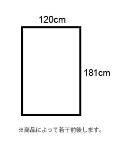 ショートセミダブル