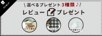 レビュー